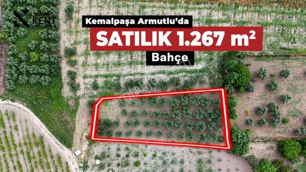Kemalpaşa Armutlu Satılık Bahçe 1267 M2 Tek Tapu
