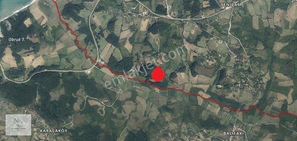 Sinop, Yeniçam'da 6 Dönüm Satılık Tarla