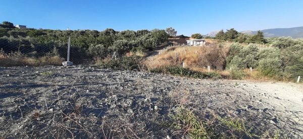 Kemalpaşa Vişneli Satılık 607 M2 Bahçe