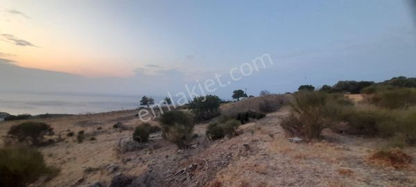 Karaburun Bozköy Mahallesinde Satılık Deniz Manzaralı Tarla