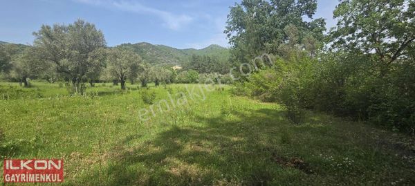 Fethiye Çenger Mah.ilkon'dan Acil Satılık Arazi