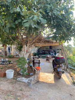 Torbalı Kemalpaşa Çakırbeyli Kavşağına Yakın Bağevi & Tarla