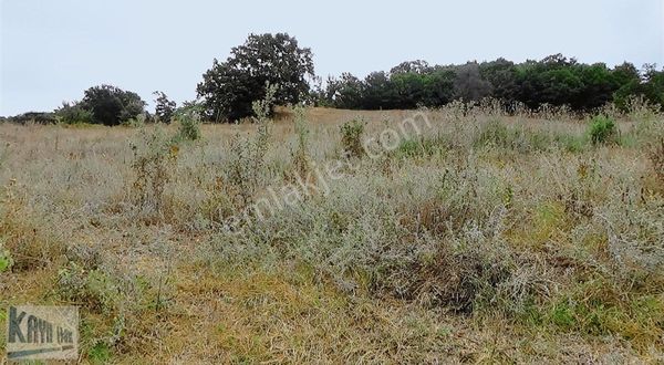 Köyler Arası Yola Cepe 6 Dönüm Tarla