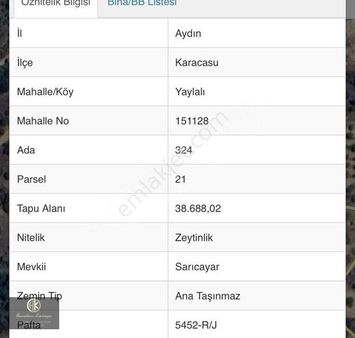 H. Karasu Gyd Aydın Karacasu'dasatılık Zeytinlik Yola Cephe