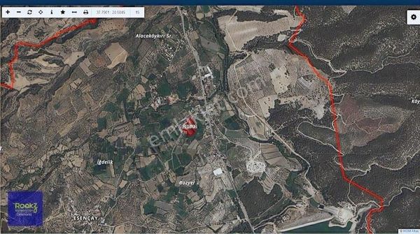 Aydın Karacasu Esençay Da Satılık Zeytin Bahçesi