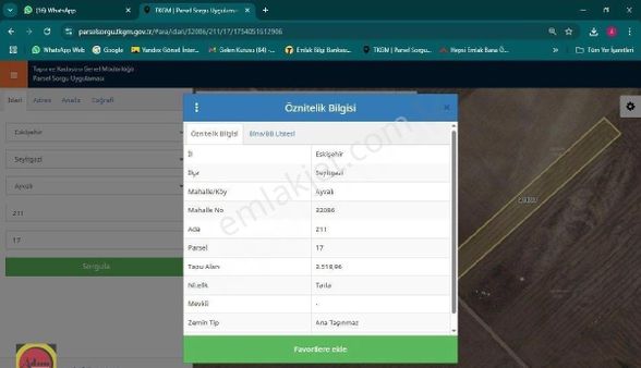 Seyitgazi Ayvalı Satılık 3.500 M2 Tarla
