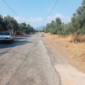 Karakuyudan Karakızlara Giderken Anayol’dan Bir Parsel İçerde Satılık Tarla