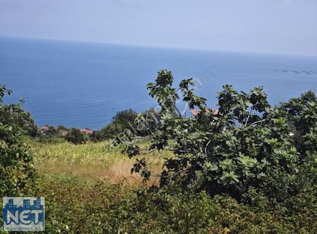Net Profesyonel Emlak'tan Satılık Deniz Manzaralı Arsa