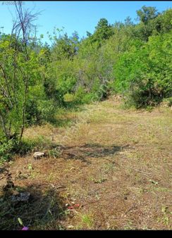 Uygun Fiyatlı Bahçe Alanya Tırılarda