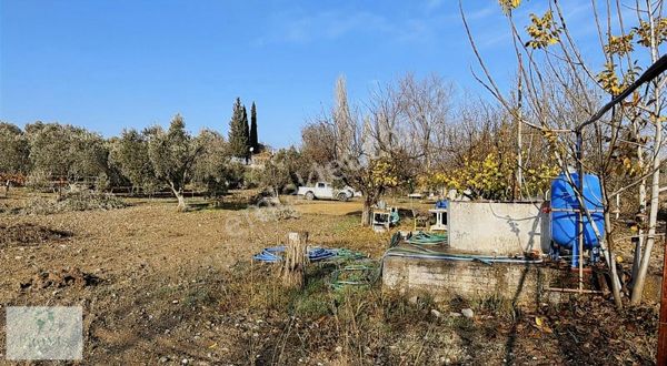 Dereköy'de 5 Dönümde Kurulu Ev Ve Bahçe