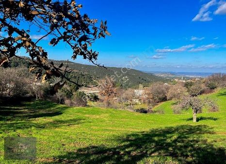 Çanakkale Ezine Sarpdere Köyünde Satılık İmarlı Arsa