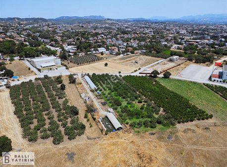 Ballı Yatırım'dan Bademli'de Merkezi Konumda Kupon Arazi