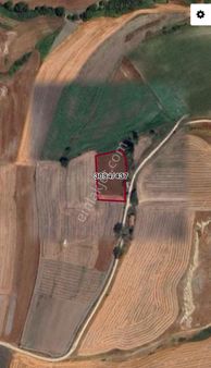 Alaçatı Dan Silivri Kurfalı’da 3.844 M2 Tek Tapu Resmi Yolla Cephe