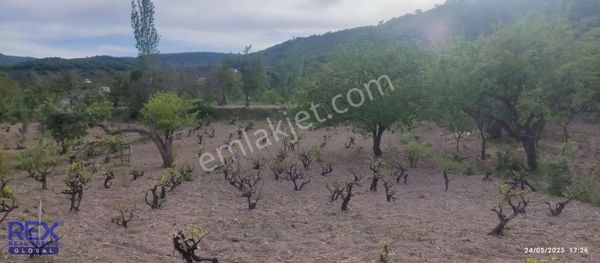 Beğendik'te Konum Avantajlı Satılık 1.155 M² Villa Parseli