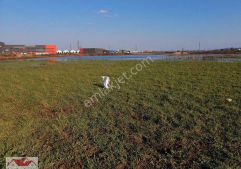 Samsun Tekkeköy Çinik Lojistik Depolarının Yanında Satılık Arsa