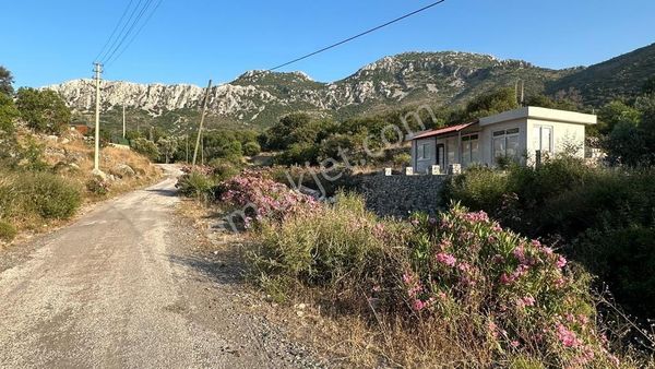 Joker: Marmaris Söğüt Yol Cepheli Doğal Yaşama Uygun Konumda Tarla