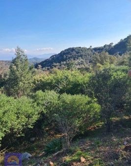Fethiye İnlice'de Doğa Manzaralı 15.000 M² Müstakil Arazi Satılık