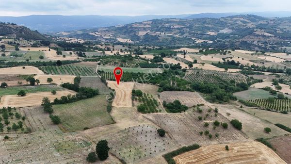 İnegöl Maden Köyünde Çok Acil Satılık Yolu Olan Tarla