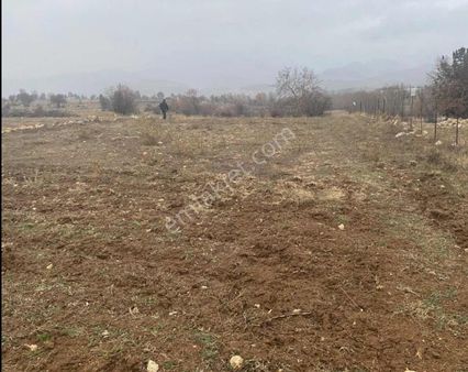 Yayla Eldirek 1141 M2 Yolu Olan Arazi Acil Satılık