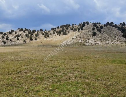 Girdev Yaylasında 3227 M2 Göle 5 Dk Mesafede Satılık Tarla