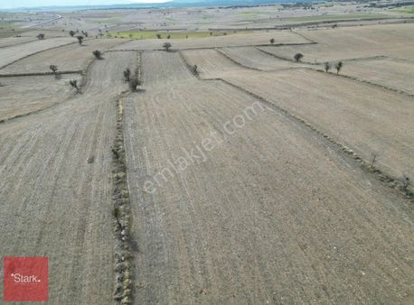 Afyon Dazkırı 8.700m2 Tek Tapu Satılık Tarla