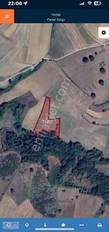 İzmit Yenicede Yatırımlık Satılık Tarla Araç Takasına Açık