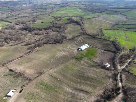 Balıkesir Gönen Akçapınar Da Satılık Tarla Ve Çiftlik Arazisi