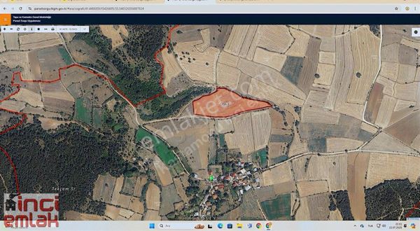 320 Metre Yol Cepheli Daday Hasanşeyh Köyünde 22.192 M2