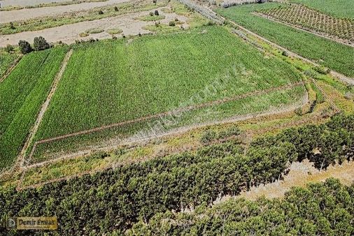 Sakarya Hendek Sarıyer Mahallesın'de 1300m2 Tarla