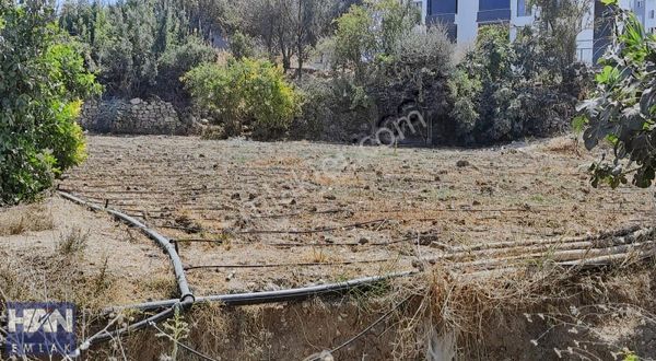 Han Emlak'tan Davultepe'de İmarlı Satılık Arsa