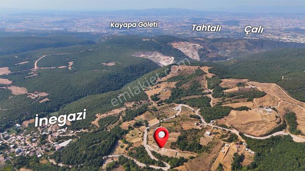 Dialog Skala'dan Nilüfer İnegazi ' De Tarla