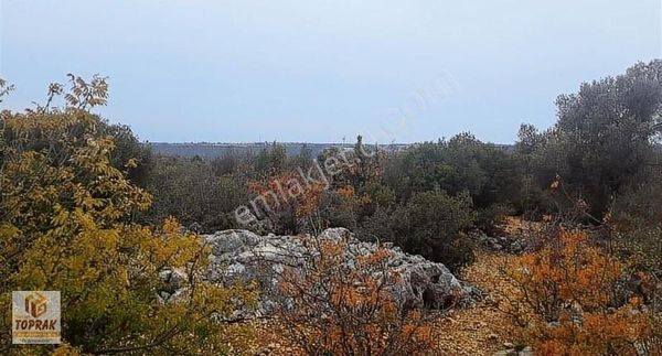 Mersin Erdemli De Satılık Tarım (güneş Enerji) Paneli