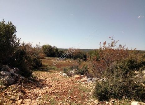 Tarım Ve Hayvancılık Veya Ges(güneş Enerjisi Projes) Uygun Tarla