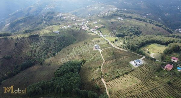 Mabel Gayrimenkul-korgan Sarıaliçte Uygun Fiyatta Fırsat Bahçe
