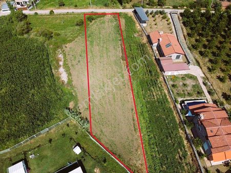 Eray Emlaktan Köyceğiz Zeytinalanında 1600m2 Satılık Tarla