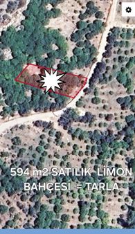 Mersin Erdemli Çiftepınar Mah.de Acil Satılık 594 M.kare Deniz Manzaralı Limon Bahçesi-tarla