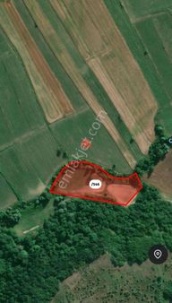 Edirne Uzunköprü Çöpköy De 2325 M2 Satılık Çaplı Muvafakatnameli