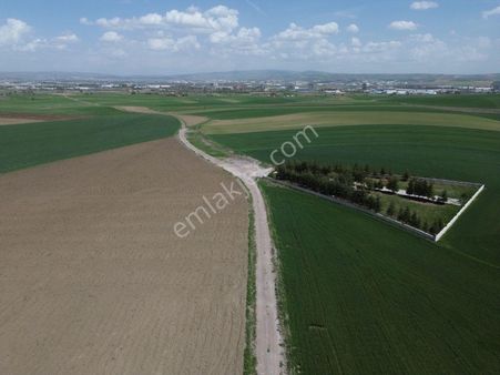 İmaremlak2'den 50m Çevre Yoluna Ve İmara Sınır Millet Bahçesine Cephe