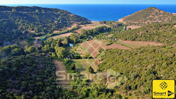 Şahinburgaz'da 4.185 M² Satılık Tarla