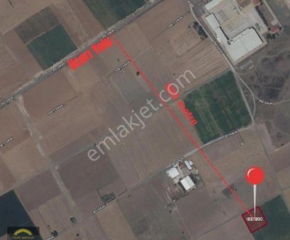 Acıpayam Aşağı Mahalle'de Anason Arkası Satılık 2.936 M² Tarla