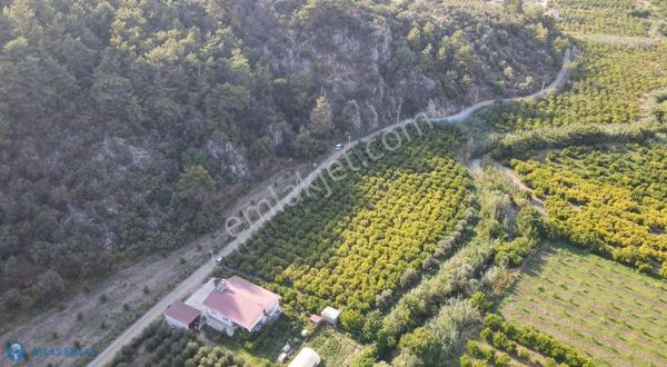 Ortaca Da Elektriği Yolu Mevcut Olan Nar Bahçesi Satılık