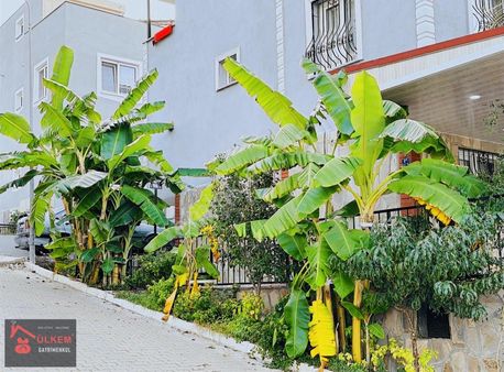 Soğucakta Havuzlu Sitede Köşe Masrafsız 5+1 Yazlık