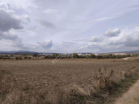 Bursa Kılıç Tan Bilecik Pazaryeri Yeni Mh.de Satılık 2512m2 Tarla