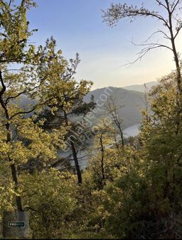 Provos Gayrimenkul, Uludağ Tuzaklı Köyü Satılık Göl Manzaralı