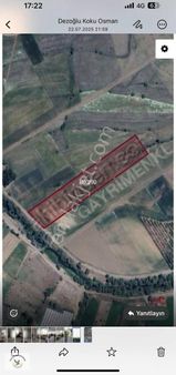 Falcon Dan Yayla Ceylanda Kaçırılmayacak Fırsat