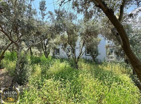 Karaçulha Merkezde 510 M2 Elektrik Su Yol Tarla Satılık