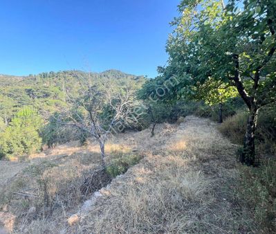 Lavinia Gayrimenkul'den Tek Tapu Bahçe Niteliği Arazi