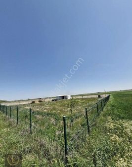 Tekirdağ Kapaklı Karlı Mahallesi'nde 1381 M2 Telle Çevrili İçinde Konteyner Olan Yerimiz Satılık