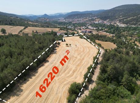 Geleceğin Yatırım Fırsatı