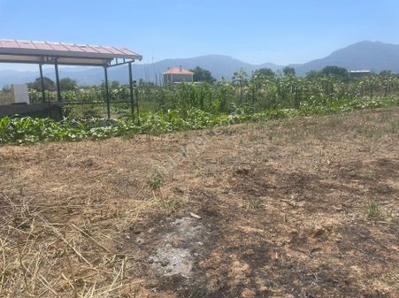 İzmir Kemalpaşada Çatalçs Mevki Satılık Arsa